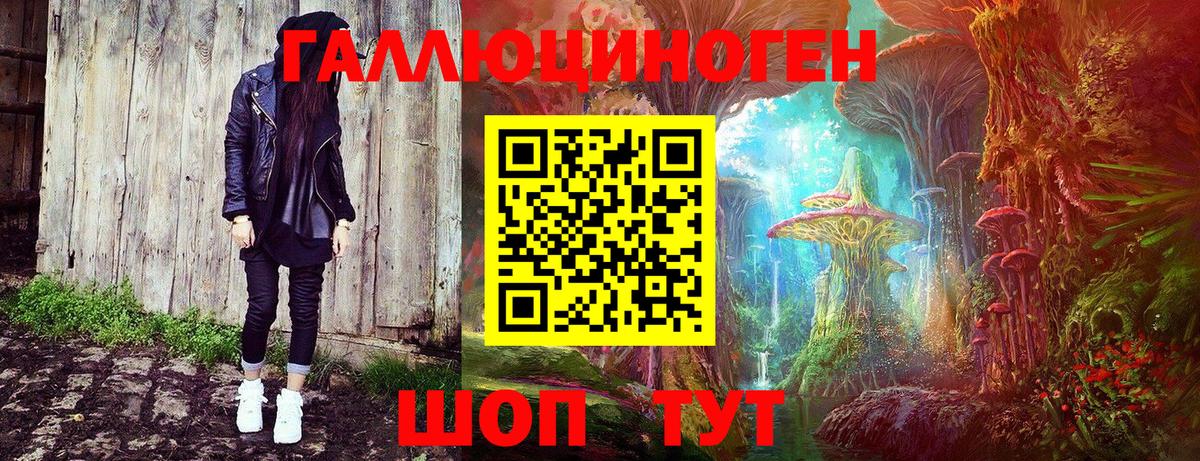 Галлюциногенные грибы Psilocybe Кизилюрт