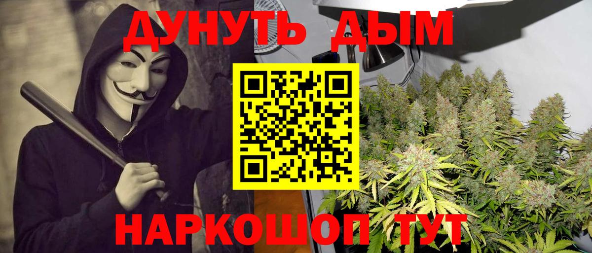 Бошки Шишки гибрид Кизилюрт